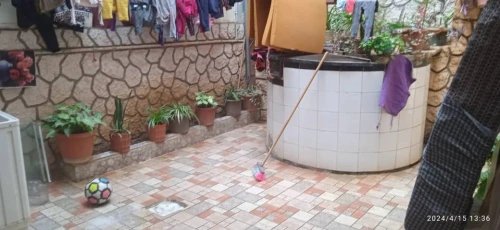Vente Villa Alger Reghaia