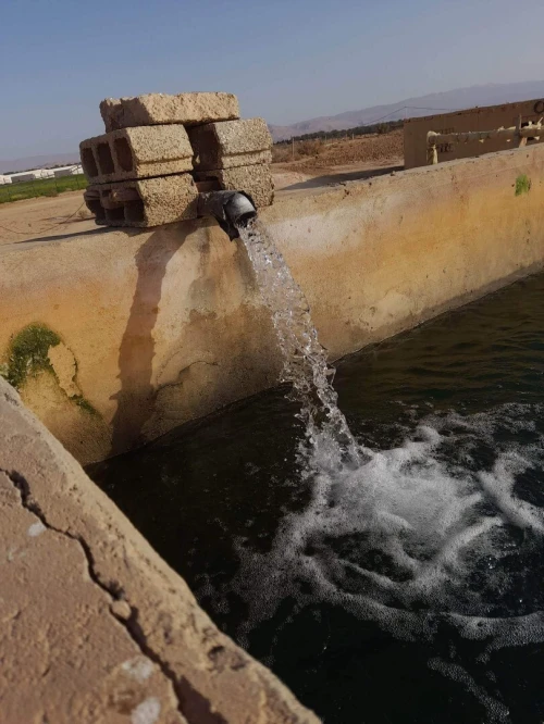Vente Terrain Agricole Biskra Sidi okba