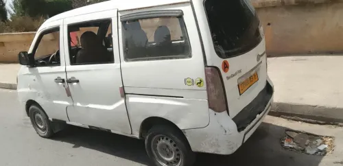 DFM SHANRAY S 100 2013 