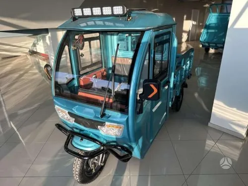 Camionnette moto tricycle électrique 3 roues Cargo 1000W
