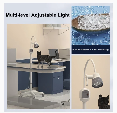 Lampe d'examen Led Mobile 