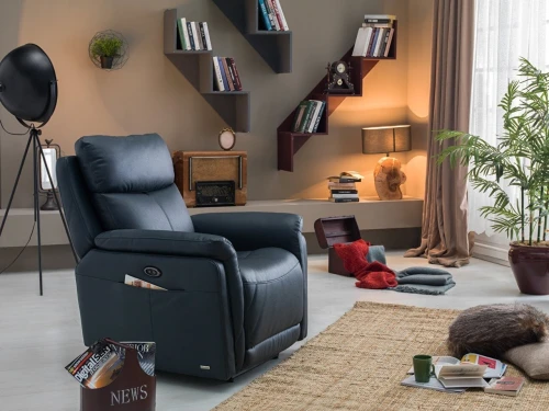 Fauteuil RELAX manuel en cuir a deux positions 