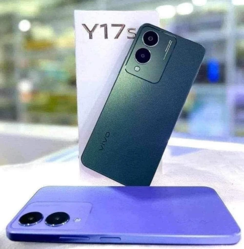 Vivo Y17s