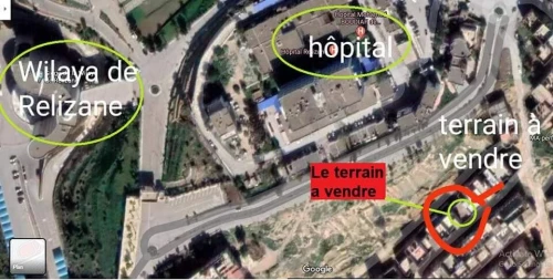 Vente Terrain Relizane Relizane