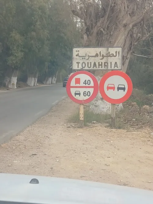 Vente Terrain Mostaganem Touahria