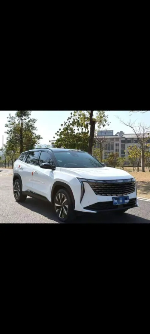 Geely Starray 2024 Premium