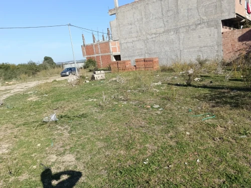 Vente Terrain Blida Ben khellil