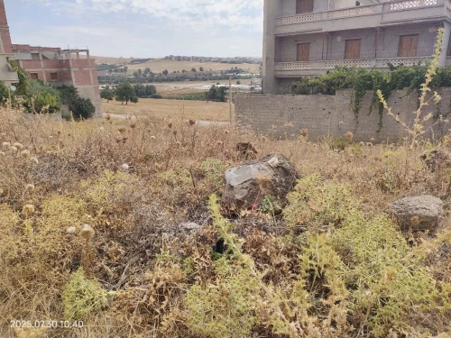 Vente Terrain Constantine Constantine