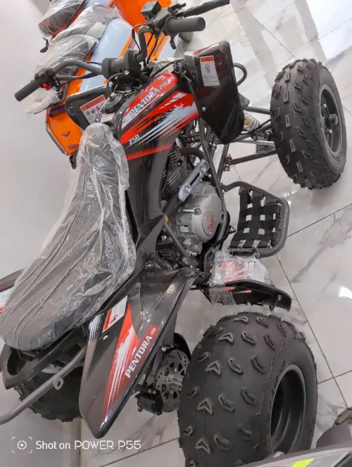 VMS RAPTR 250 2024