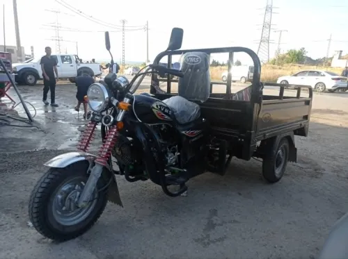 VMS V12 2026