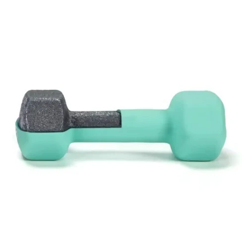Ensemble d'haltères de gymnastique, équipement de Fitness à domicile, poids de levage