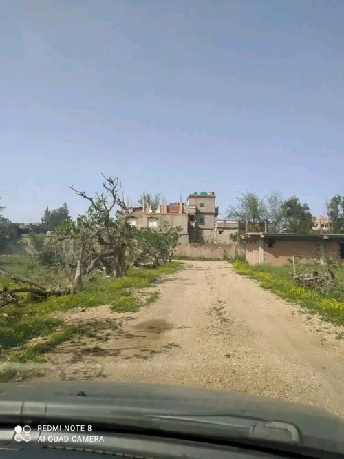 Vente Terrain Blida Ouled selama