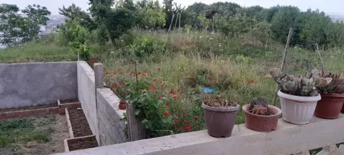 Vente Villa Constantine Constantine