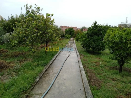 Vente Villa Constantine Constantine
