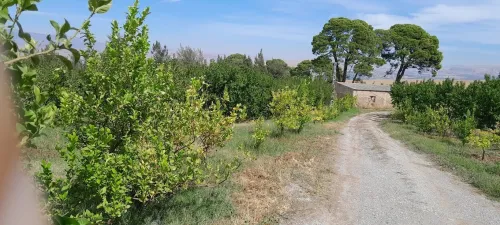 Vente Terrain Agricole Constantine Ibn ziad