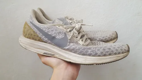 Nike Zoom
