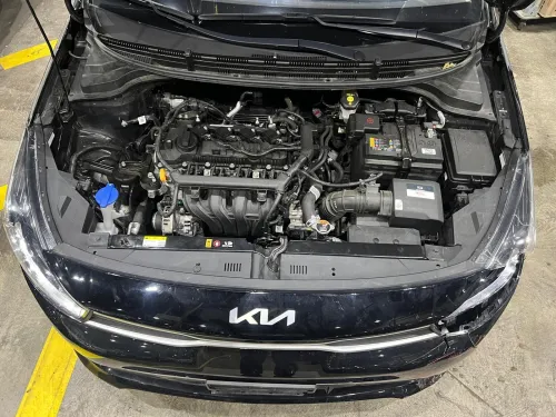 Kia Rio 5 portes 2022 2022