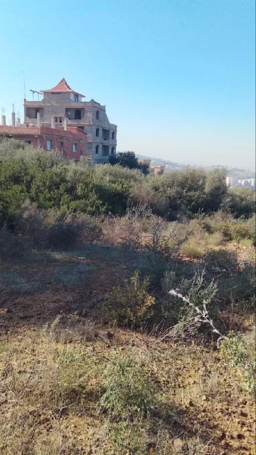 Vente Terrain Boumerdès Larbatache