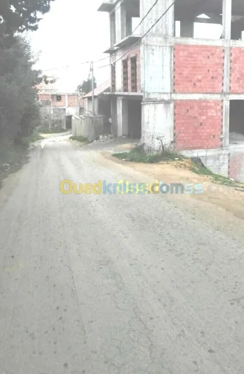 Vente Terrain Alger Douera