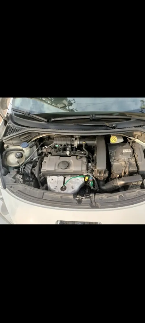 Peugeot 207 2012 Fennec