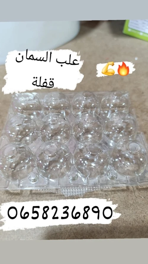 علب بيض السمان جودة ممتاز. (قفلة)
