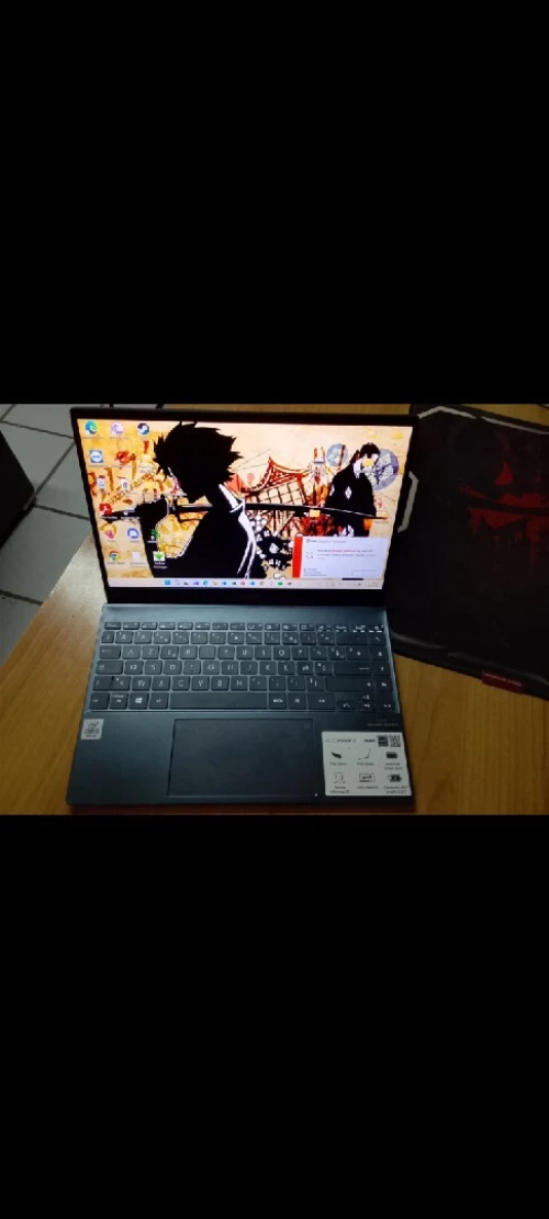 Asus zenbook 13