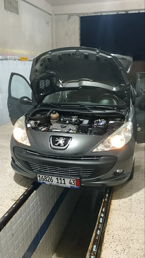 Peugeot 206 Plus 2011 206 Plus