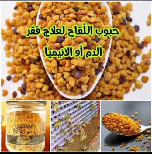 Pollen حبوب اللقاح
