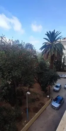 Location Local Alger Sidi mhamed