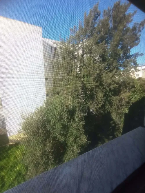 Location Appartement Niveau de villa F2 Alger Birkhadem