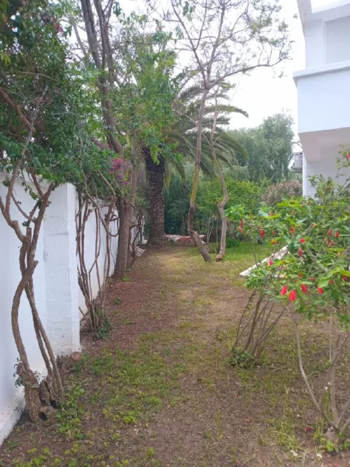 Location Villa Alger Hydra