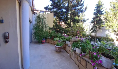 Location Villa Alger Hydra