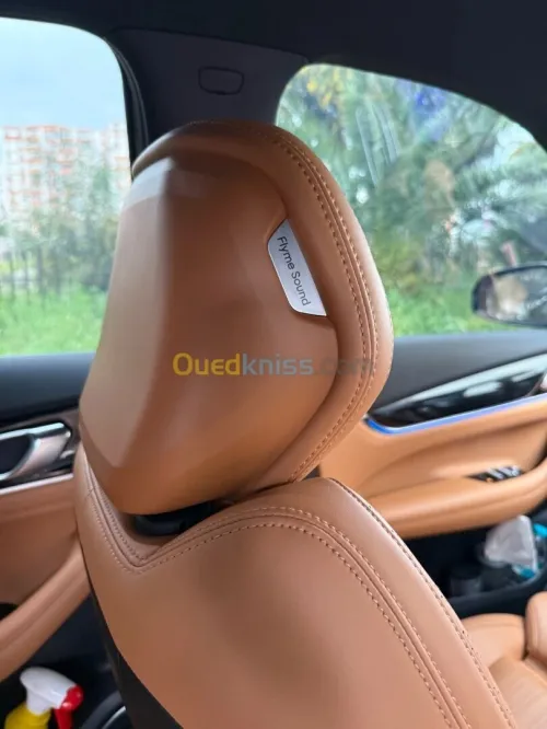Geely Starray 2025 Flagship (Splendid)