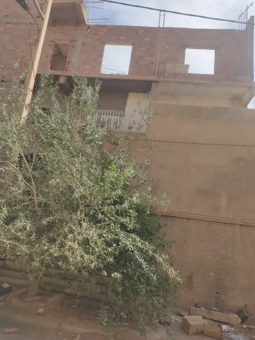 Vente Villa Biskra Biskra