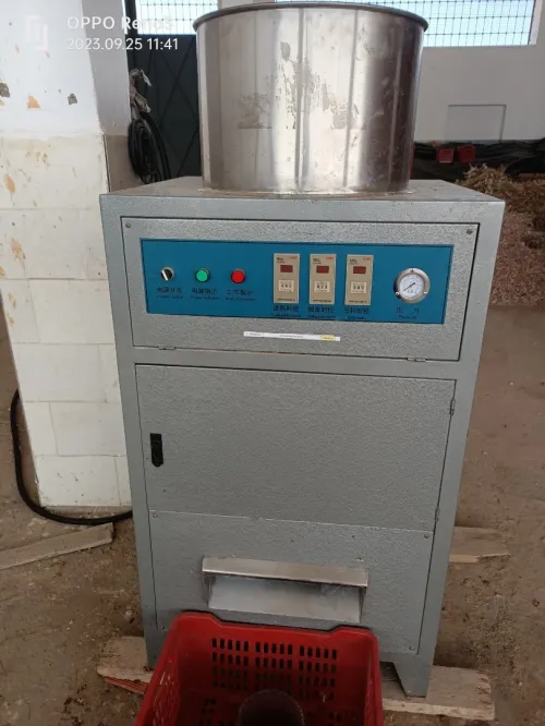 Machine Éplucheuse Ail