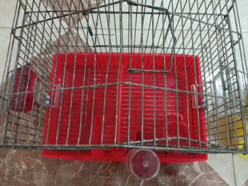 Cage de oiseau 