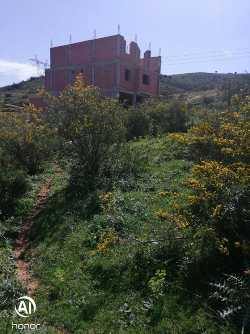 Vente Terrain Blida Bouinan