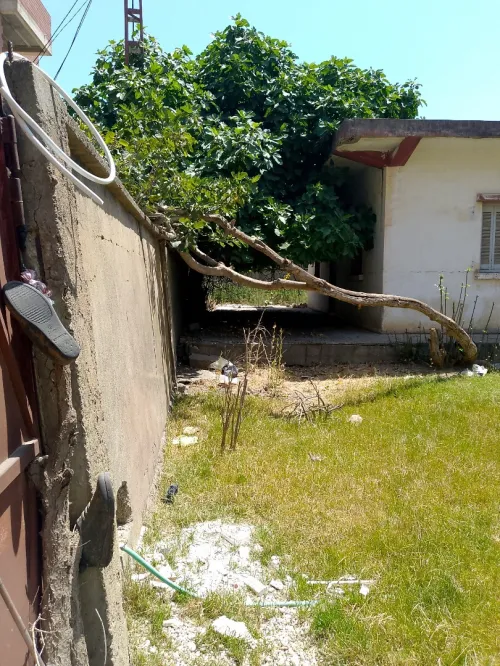 Vente Terrain Boumerdès Ouled hedadj
