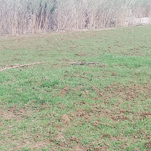 Vente Terrain Boumerdès Ouled hedadj