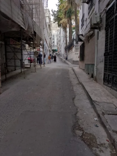 Location Local Alger Alger centre