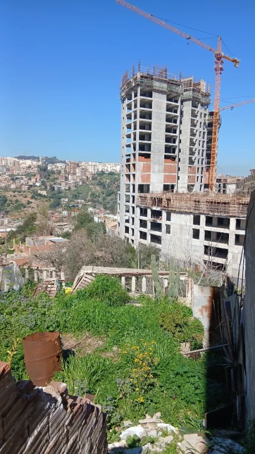 Vente Terrain Alger El biar