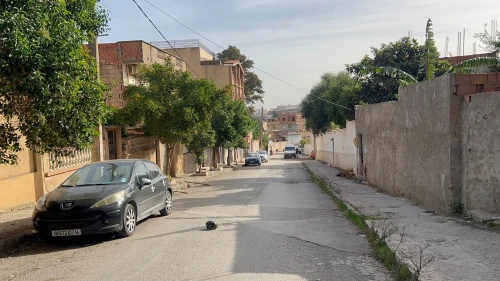 Vente Villa Alger Douera