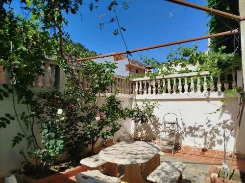 Location Appartement F3 Chlef Tenes