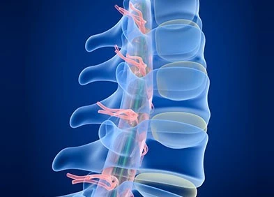 Médecin Spécialiste Rhumatologue