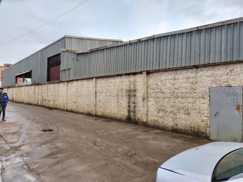 Location Hangar Blida Meftah
