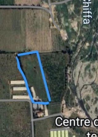 Vente Terrain Blida Chiffa