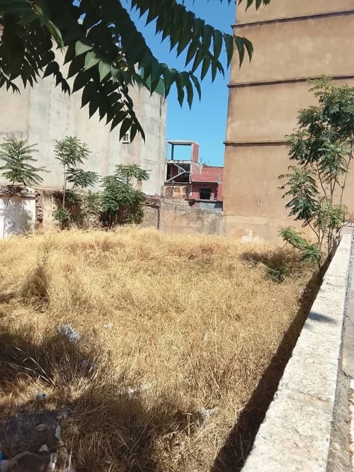 Vente Terrain Blida Blida