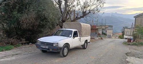 Peugeot 504 1995 Bachi