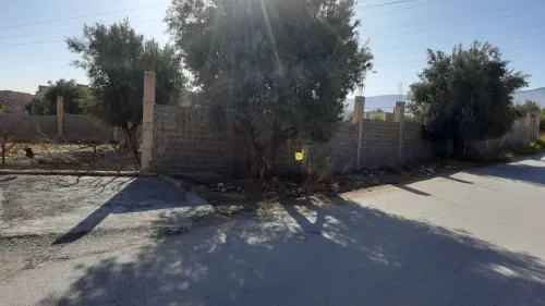 Location Terrain Tlemcen Tlemcen