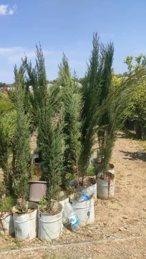 amenagement des espaces verts